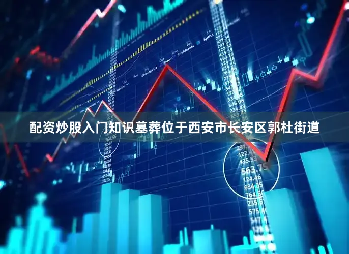 配资炒股入门知识墓葬位于西安市长安区郭杜街道