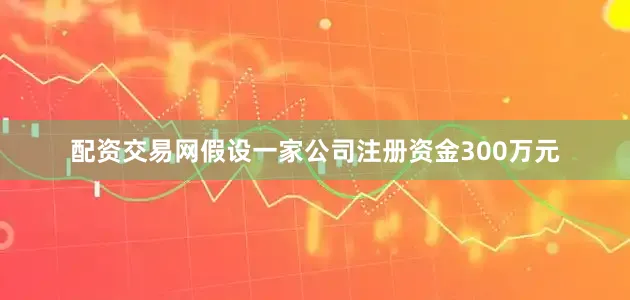 配资交易网假设一家公司注册资金300万元