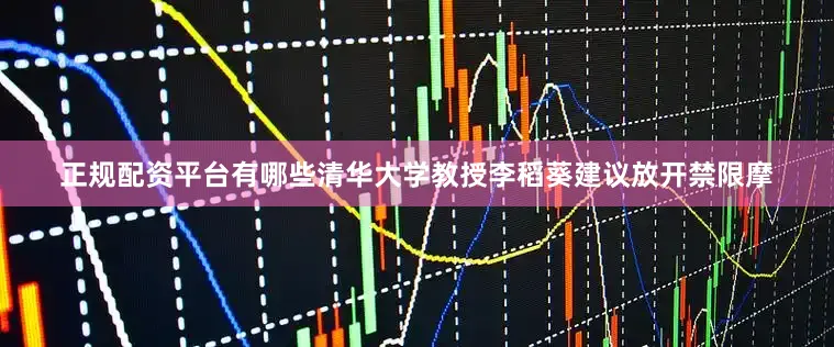 正规配资平台有哪些清华大学教授李稻葵建议放开禁限摩