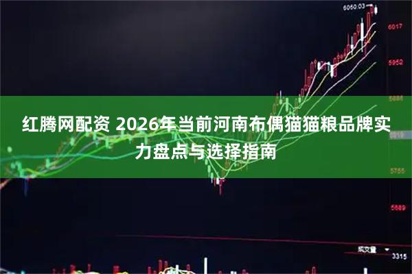 红腾网配资 2026年当前河南布偶猫猫粮品牌实力盘点与选择指南