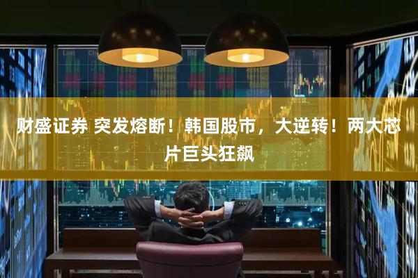 财盛证券 突发熔断！韩国股市，大逆转！两大芯片巨头狂飙