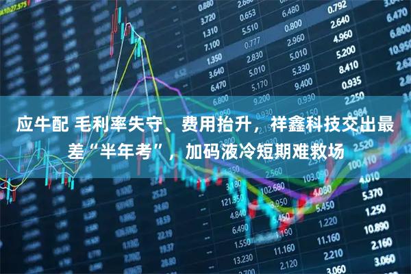 应牛配 毛利率失守、费用抬升，祥鑫科技交出最差“半年考”，加码液冷短期难救场