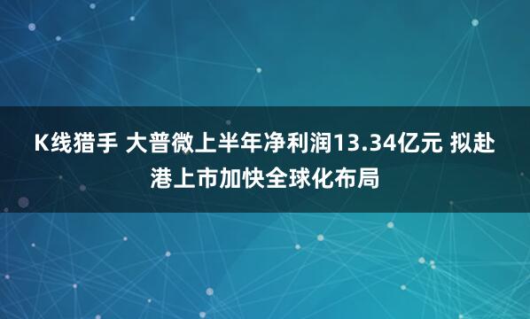 K线猎手 大普微上半年净利润13.34亿元 拟赴港上市加快全球化布局